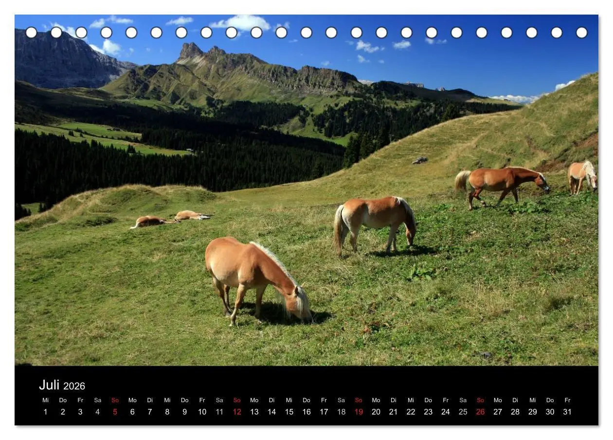 Bild: 9783457951644 | Alpe di Siusi - Seiser Alm (Tischkalender 2026 DIN A5 quer),...