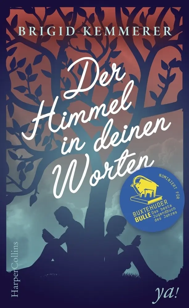 Cover: 9783959671644 | Der Himmel in deinen Worten | Brigid Kemmerer | Buch | 352 S. | 2017