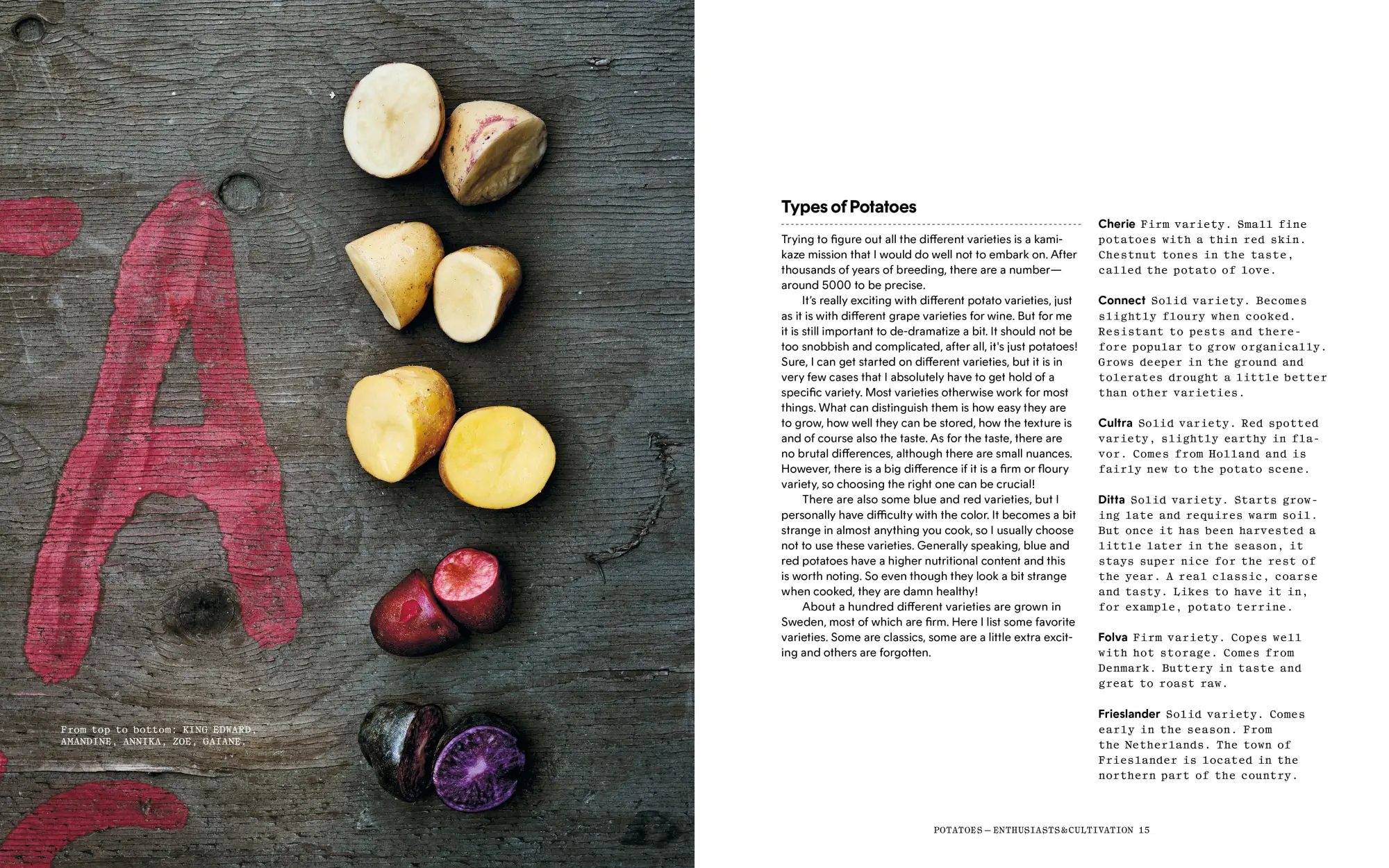 Bild: 9783967041644 | Potato Total | Timeless Recipes for Every Home Cook | Stefan Ekengren
