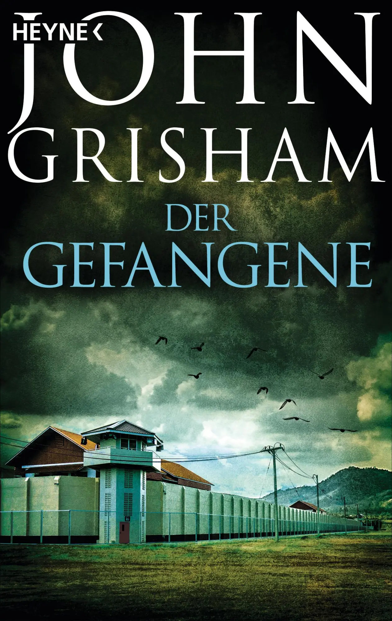 Cover: 9783453811744 | Der Gefangene | John Grisham | Taschenbuch | 463 S. | Deutsch | 2008