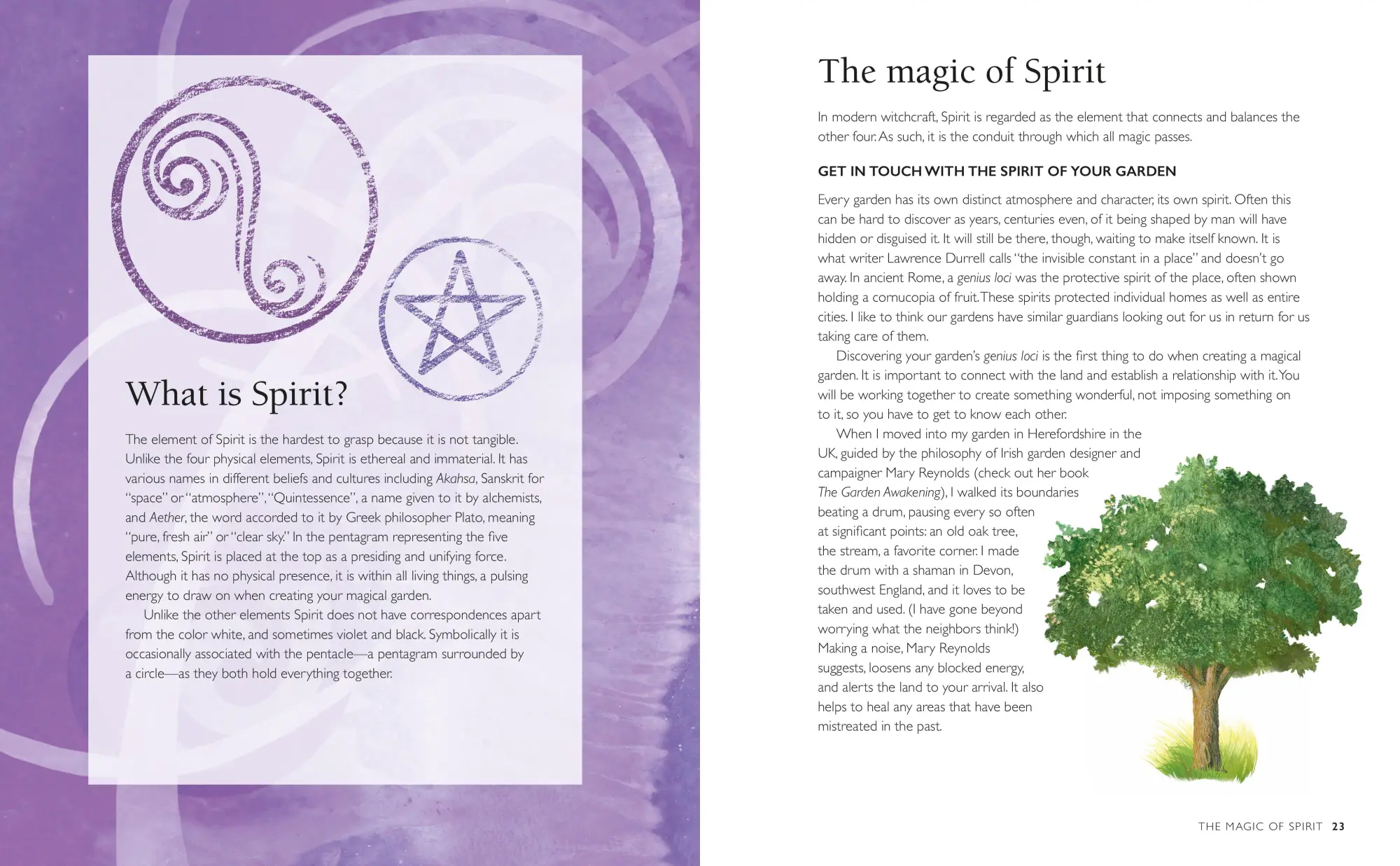 Bild: 9781800651944 | Your Magical Garden | Clare Gogerty | Taschenbuch | Englisch | 2023