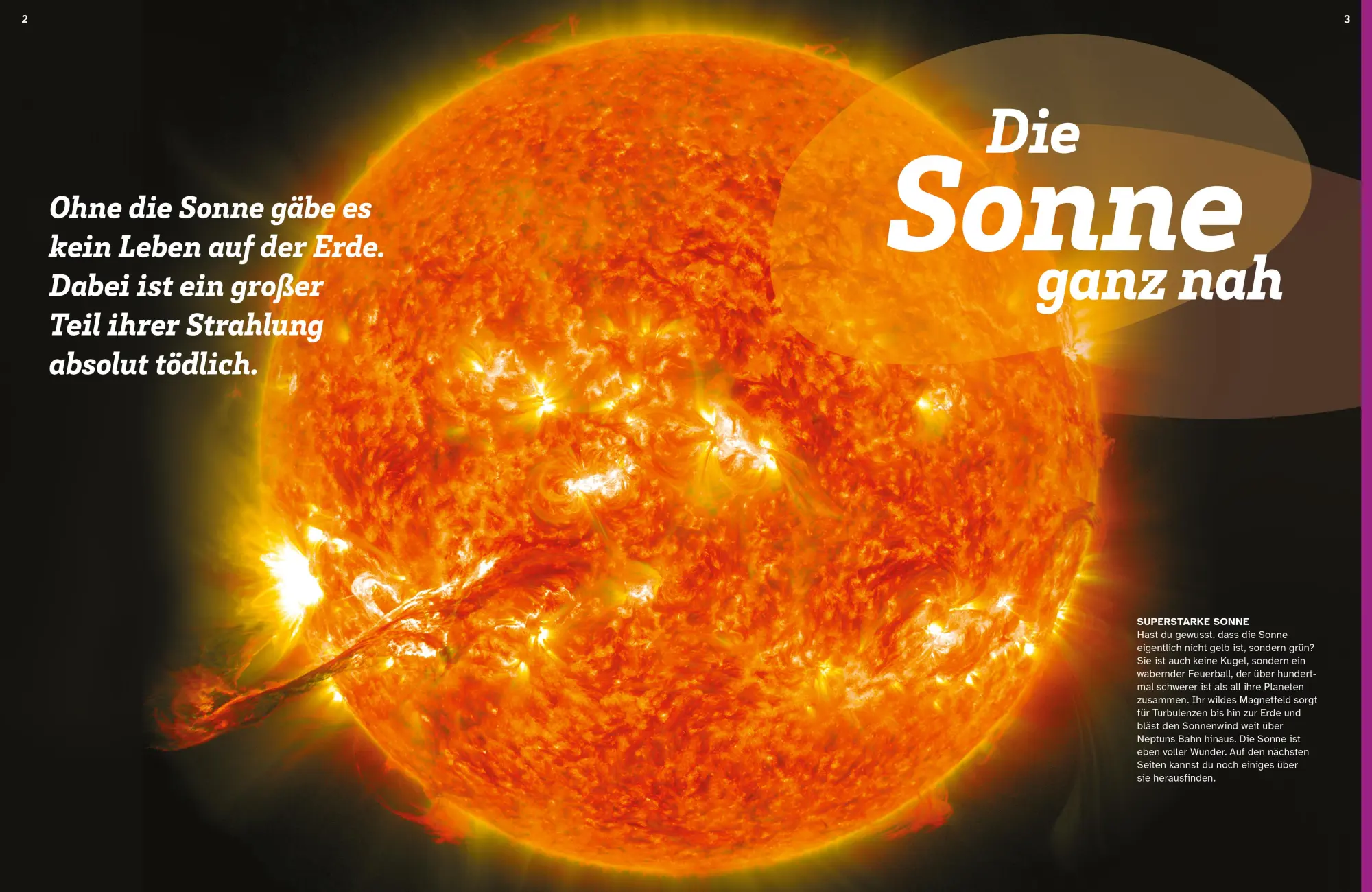 Bild: 9783788681944 | WAS IST WAS Die Sonne. Megaheiß und superhell! | Sabine Engel | Buch