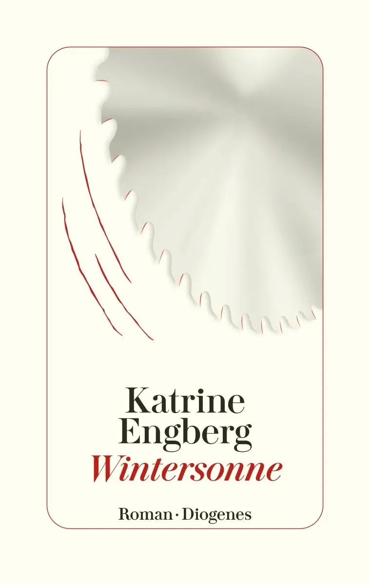 Cover: 9783257072044 | Wintersonne | Der Kopenhagen-Krimi | Katrine Engberg | Buch | 430 S.