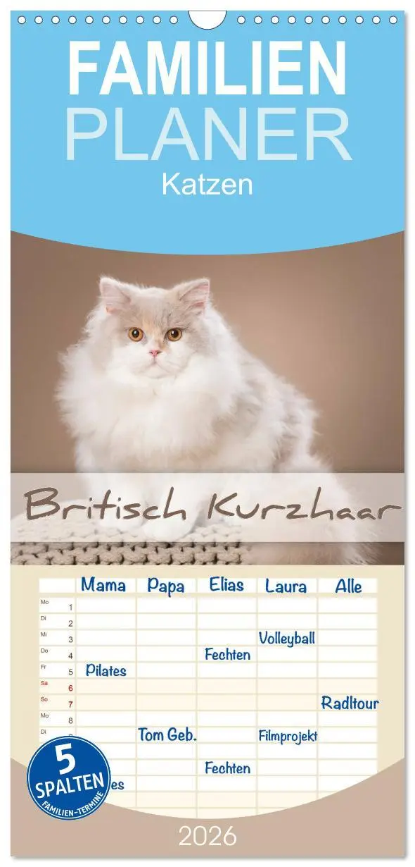 Cover: 9783516522044 | Familienplaner 2026 - Die Britisch Kurzhaar Katze mit 5 Spalten...