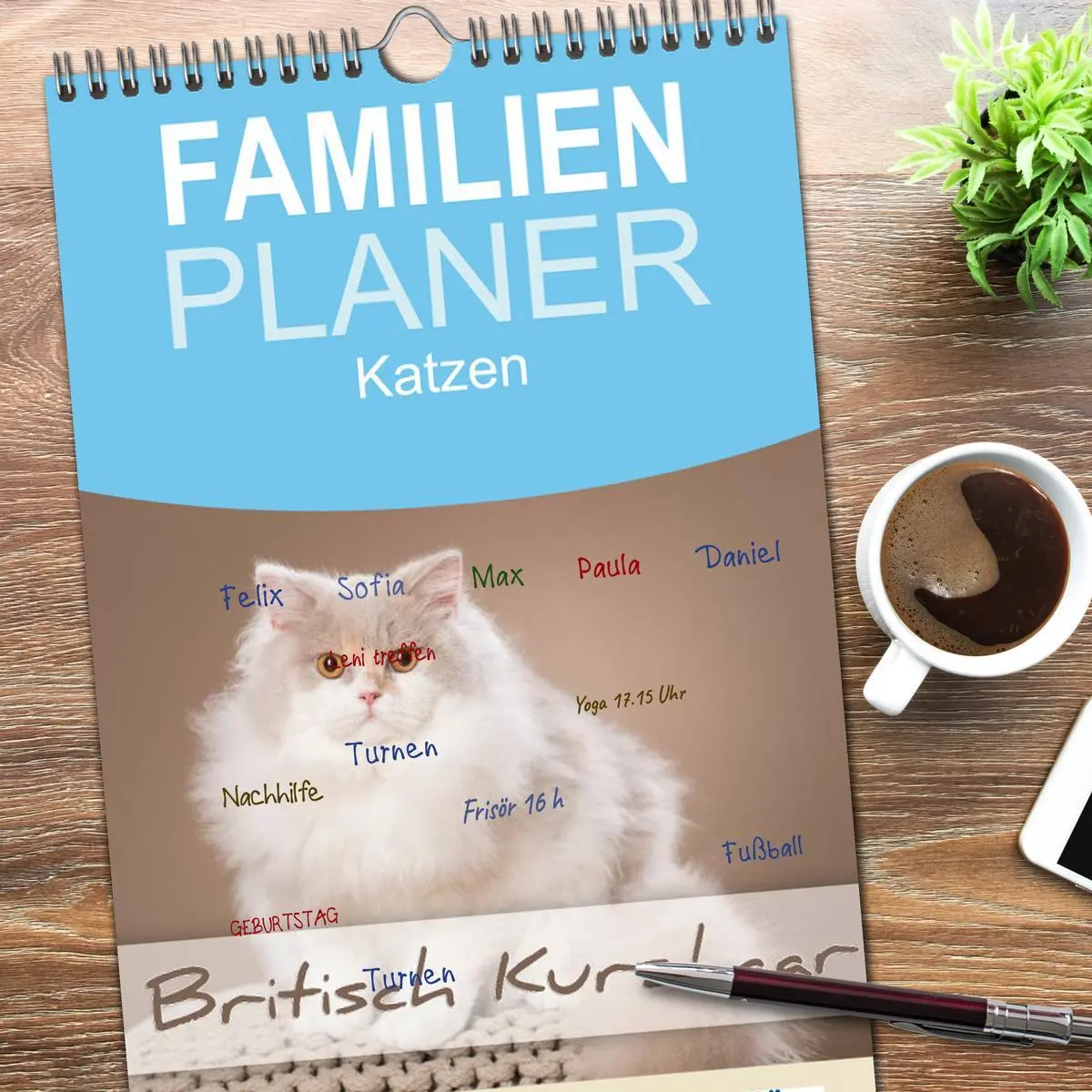 Bild: 9783516522044 | Familienplaner 2026 - Die Britisch Kurzhaar Katze mit 5 Spalten...