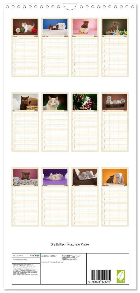 Bild: 9783516522044 | Familienplaner 2026 - Die Britisch Kurzhaar Katze mit 5 Spalten...