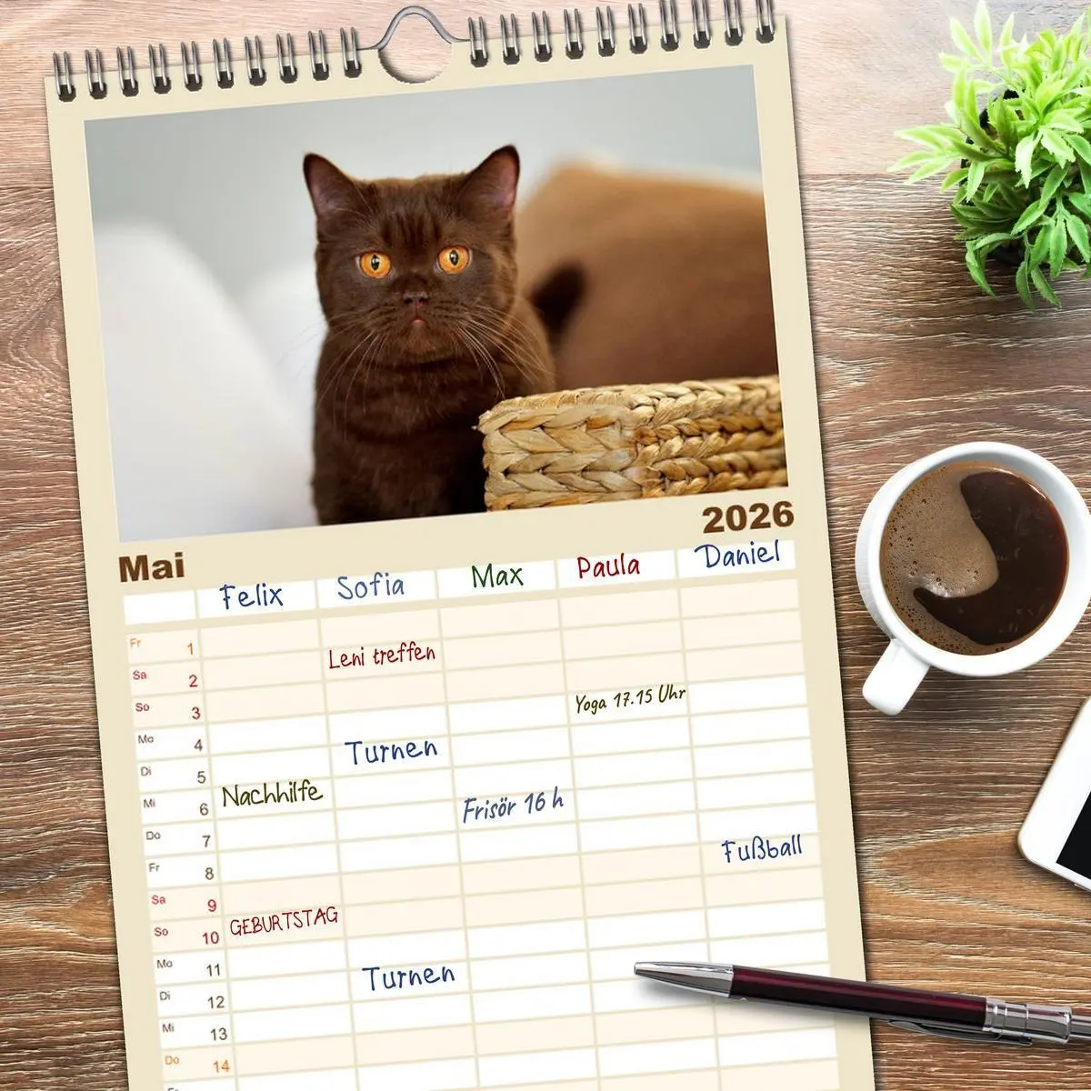 Bild: 9783516522044 | Familienplaner 2026 - Die Britisch Kurzhaar Katze mit 5 Spalten...