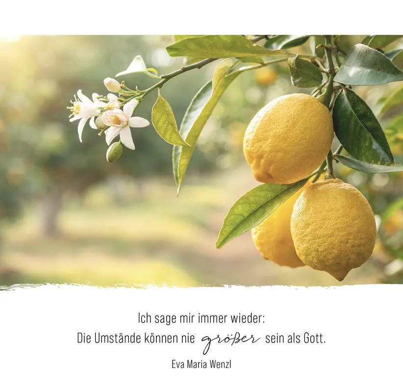 Bild: 9783986952044 | Momente der Hoffnung - Aufstellbuch | Taschenbuch | 56 S. | Deutsch