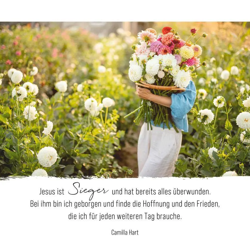 Bild: 9783986952044 | Momente der Hoffnung - Aufstellbuch | Taschenbuch | 56 S. | Deutsch