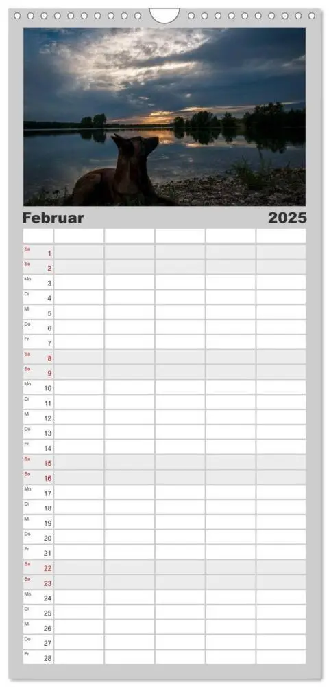 Bild: 9783457112144 | Familienplaner 2025 - Belgische Schäferhunde - Der Malinois im...
