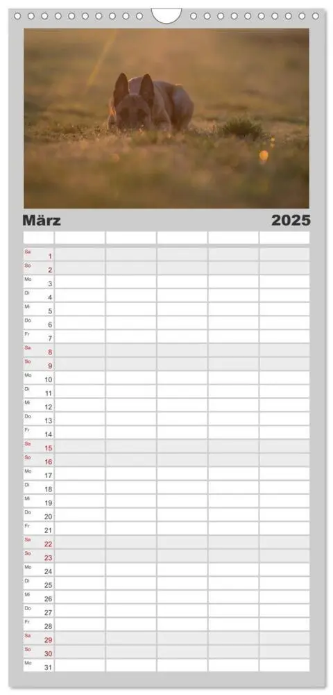 Bild: 9783457112144 | Familienplaner 2025 - Belgische Schäferhunde - Der Malinois im...