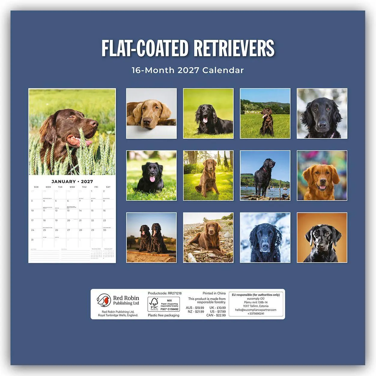 Rückseite: 9781837012244 | Flat-Coated Retrievers - Flat Coated Retriever 2027 -...