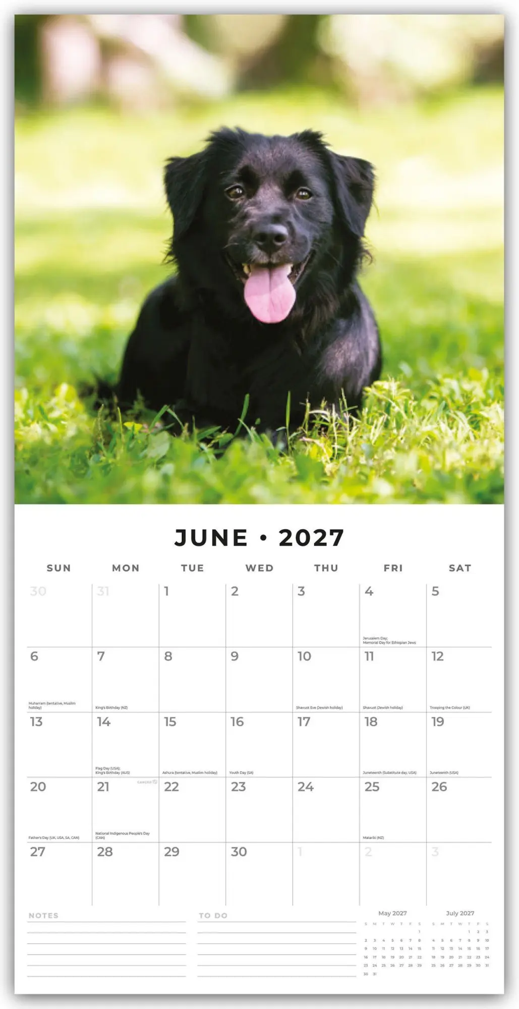 Bild: 9781837012244 | Flat-Coated Retrievers - Flat Coated Retriever 2027 -...