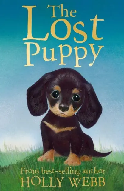 Cover: 9781847152244 | The Lost Puppy | Holly Webb | Taschenbuch | Holly Webb: Animal Stories