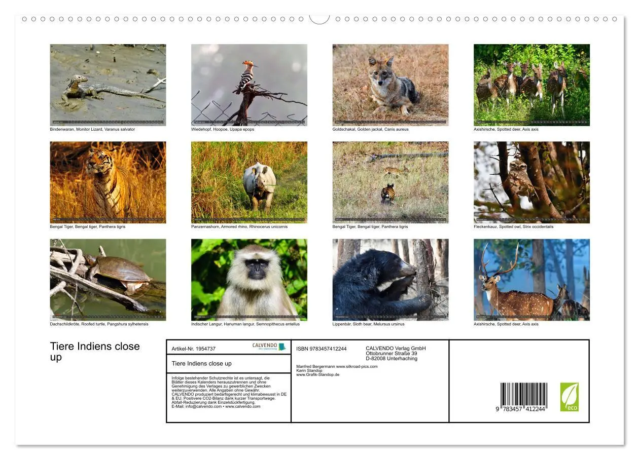 Bild: 9783457412244 | Tiere Indiens close up (hochwertiger Premium Wandkalender 2026 DIN...