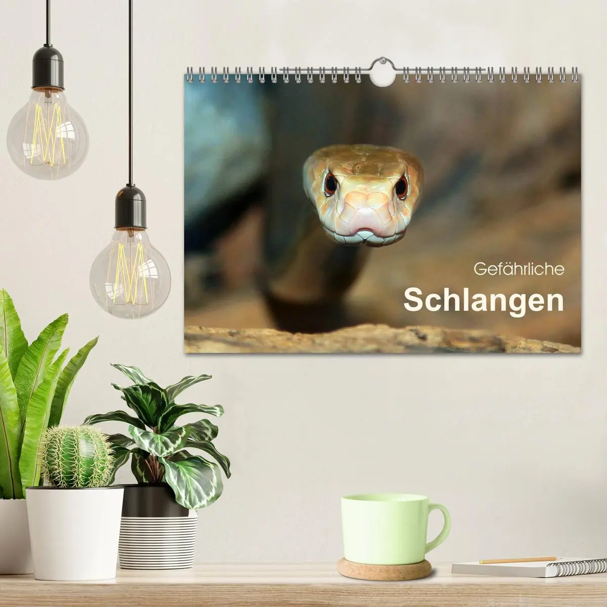 Bild: 9783516052244 | Gefährliche Schlangen (Wandkalender 2026 DIN A4 quer), CALVENDO...