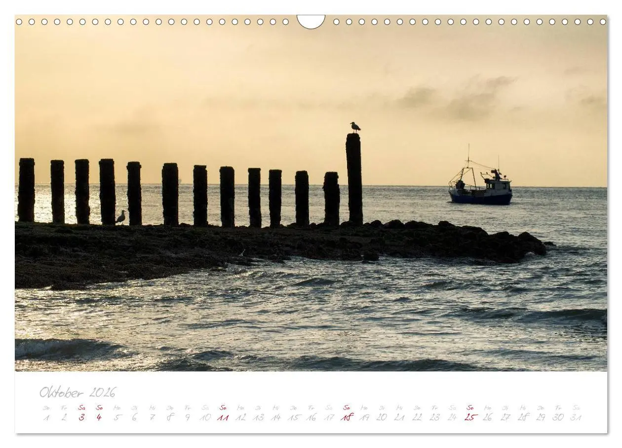 Bild: 9783516122244 | Zeeland (Wandkalender 2026 DIN A3 quer), CALVENDO Monatskalender