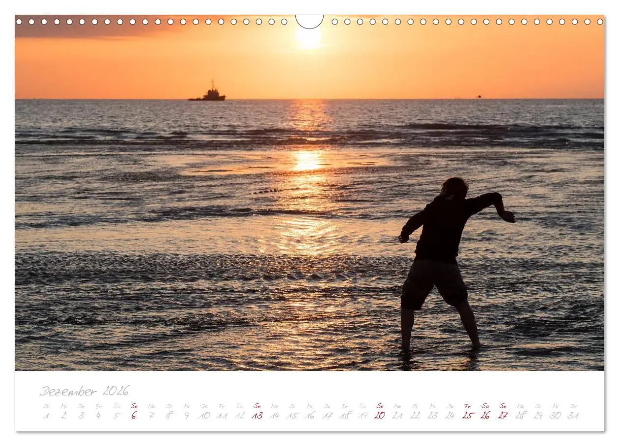 Bild: 9783516122244 | Zeeland (Wandkalender 2026 DIN A3 quer), CALVENDO Monatskalender
