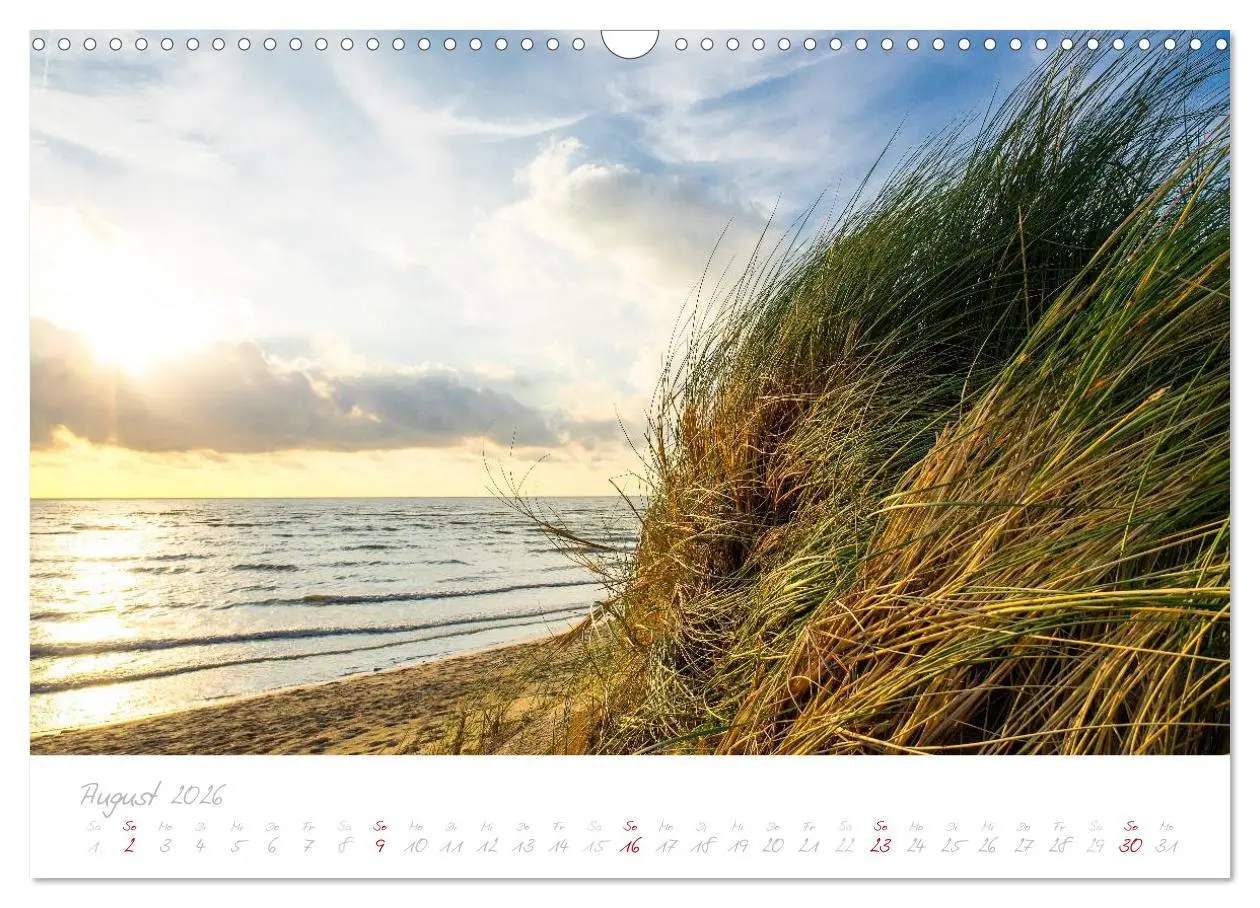 Bild: 9783516122244 | Zeeland (Wandkalender 2026 DIN A3 quer), CALVENDO Monatskalender