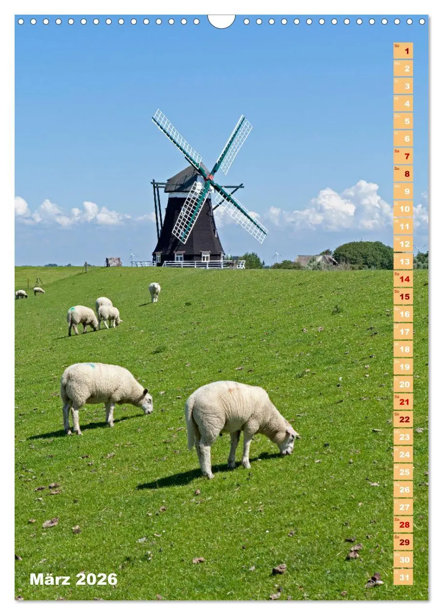 Bild: 9783516362244 | Deutschlands historische Windmühlen (Wandkalender 2026 DIN A3...