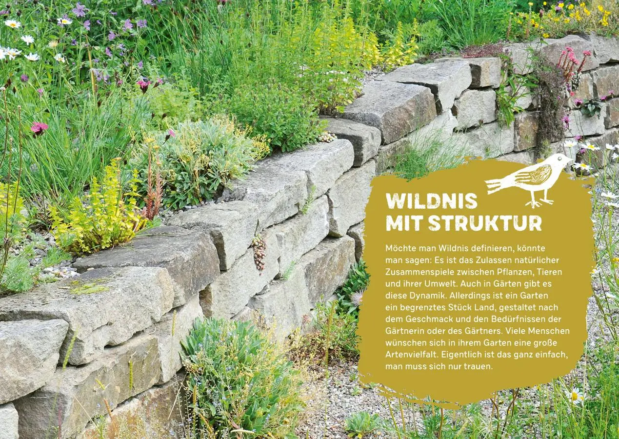 Bild: 9783818622244 | Mehr Gezwitscher im Garten | Anita Schäffer | Taschenbuch | 128 S.