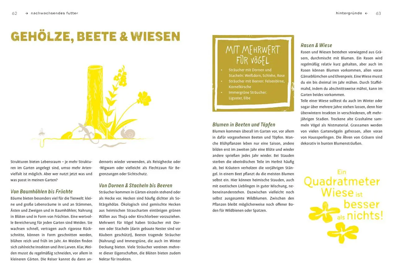 Bild: 9783818622244 | Mehr Gezwitscher im Garten | Anita Schäffer | Taschenbuch | 128 S.