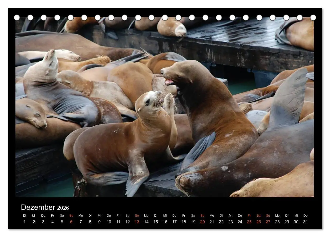 Bild: 9783516112344 | USA - Nordwesten (Tischkalender 2026 DIN A5 quer), CALVENDO...