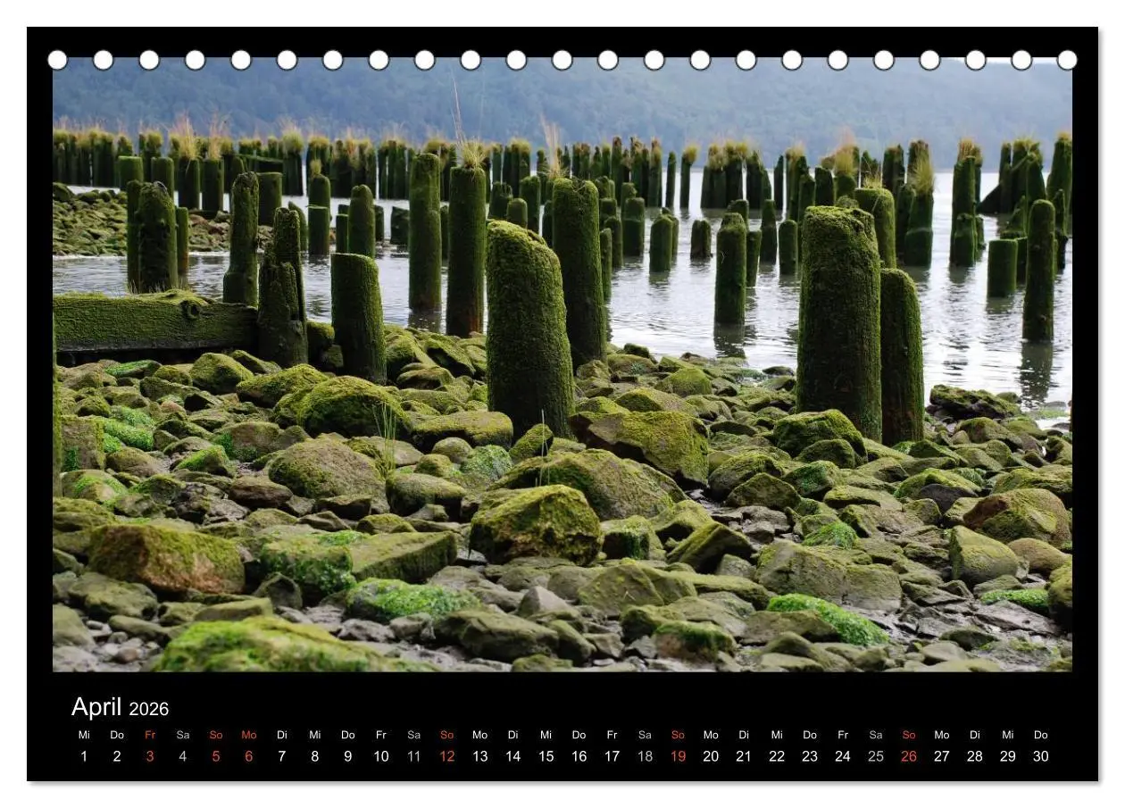 Bild: 9783516112344 | USA - Nordwesten (Tischkalender 2026 DIN A5 quer), CALVENDO...