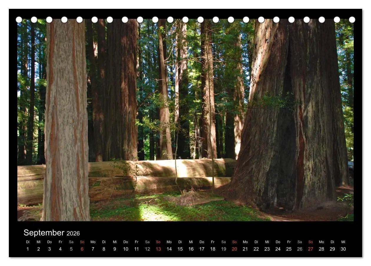 Bild: 9783516112344 | USA - Nordwesten (Tischkalender 2026 DIN A5 quer), CALVENDO...