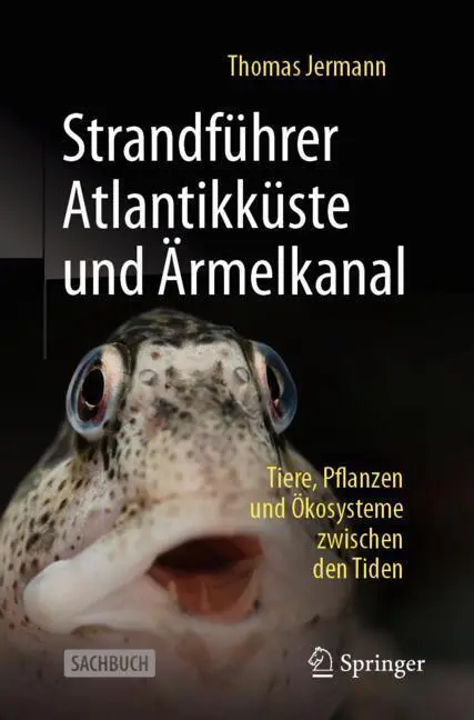 Cover: 9783662712344 | Strandführer Atlantikküste und Ärmelkanal | Thomas Jermann | Buch