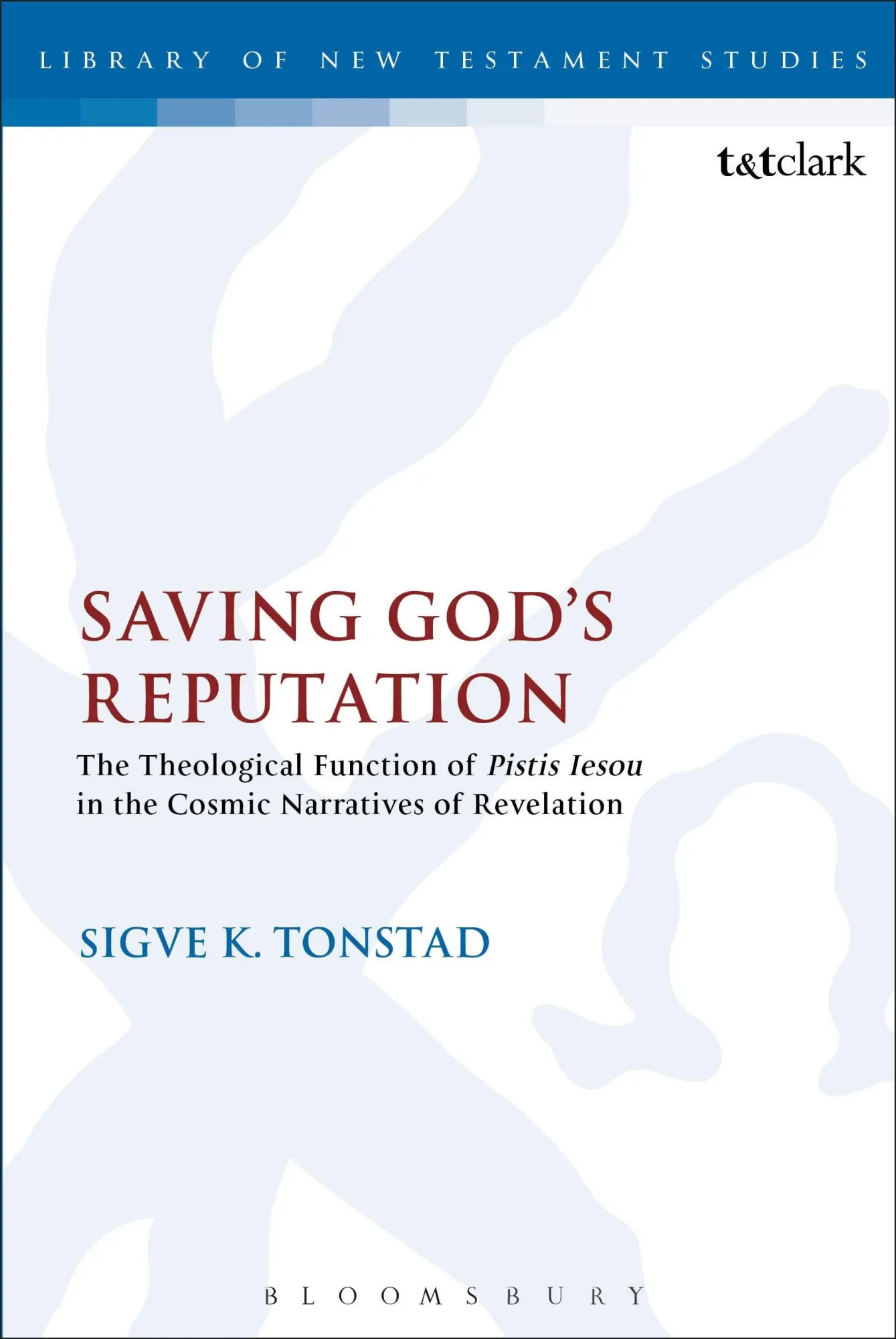 Cover: 9780567202444 | Saving God's Reputation | Sigva K. Tonstad (u. a.) | Taschenbuch