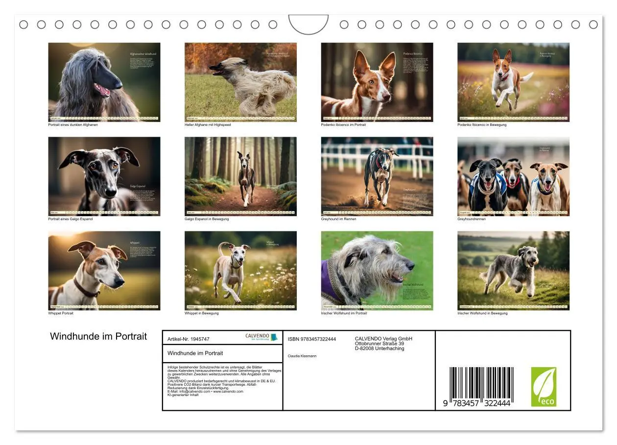 Bild: 9783457322444 | Windhunde im Portrait (Wandkalender 2026 DIN A4 quer), CALVENDO...