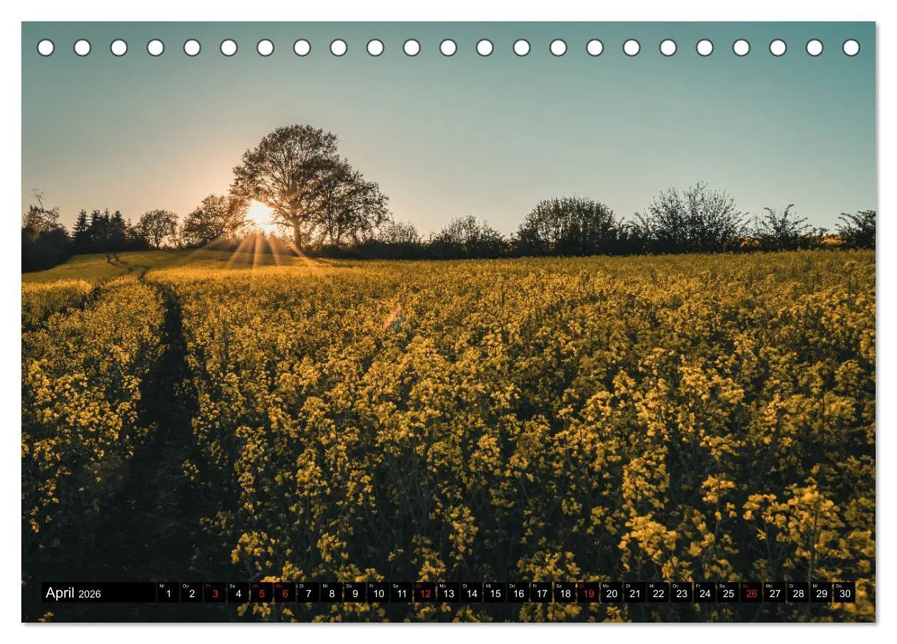 Bild: 9783457702444 | Das Münsterland - Meine Impressionen (Tischkalender 2026 DIN A5...