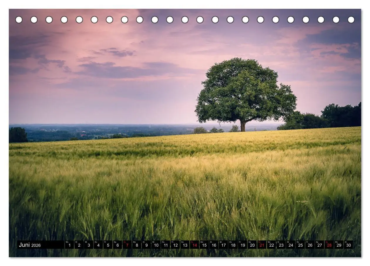 Bild: 9783457702444 | Das Münsterland - Meine Impressionen (Tischkalender 2026 DIN A5...