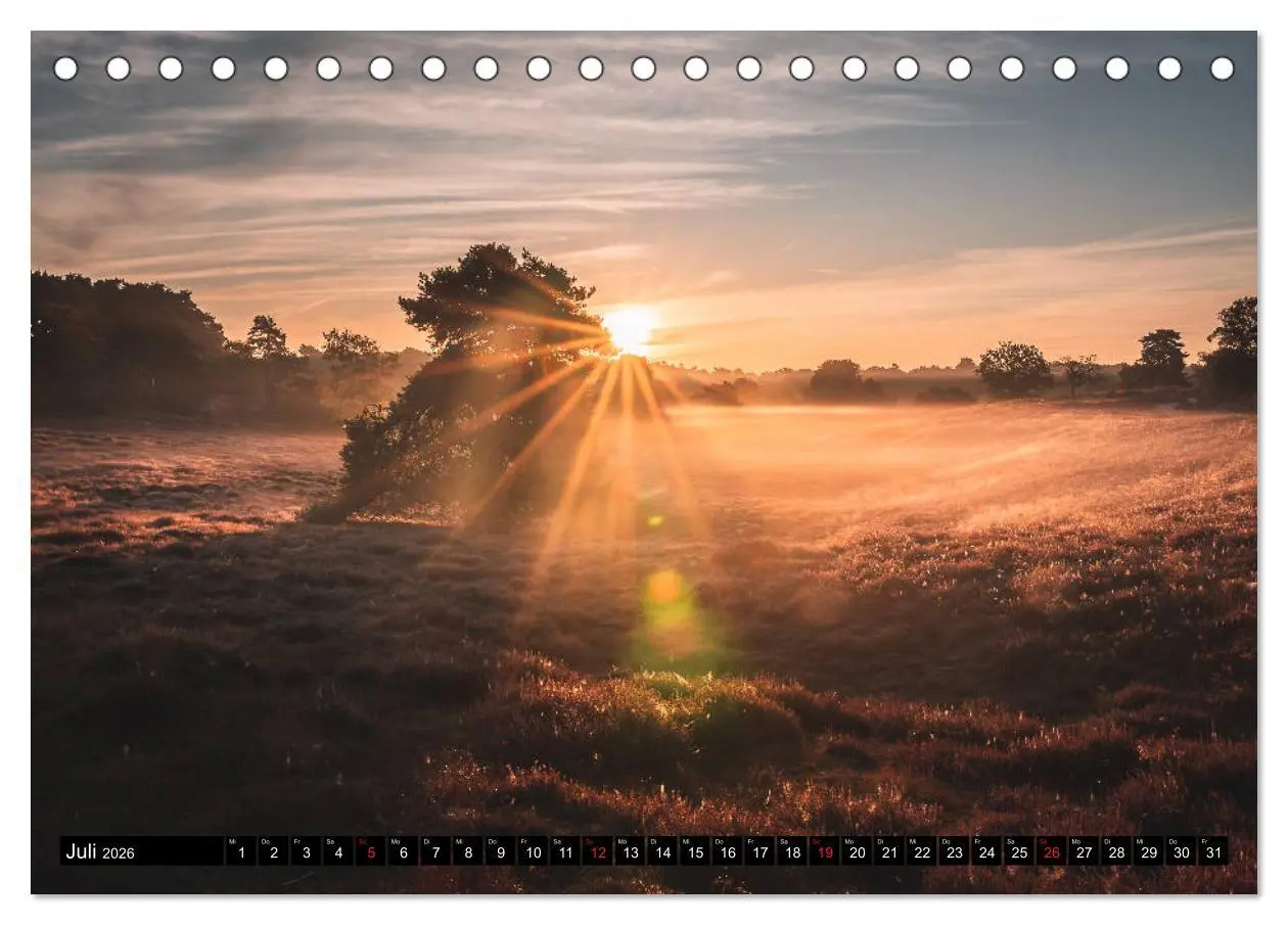 Bild: 9783457702444 | Das Münsterland - Meine Impressionen (Tischkalender 2026 DIN A5...