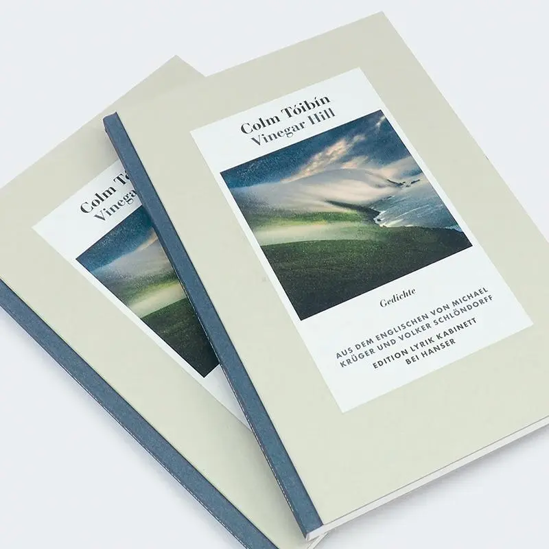 Bild: 9783446282544 | Vinegar Hill | Gedichte. Edition Lyrik Kabinett | Colm Tóibín | Buch