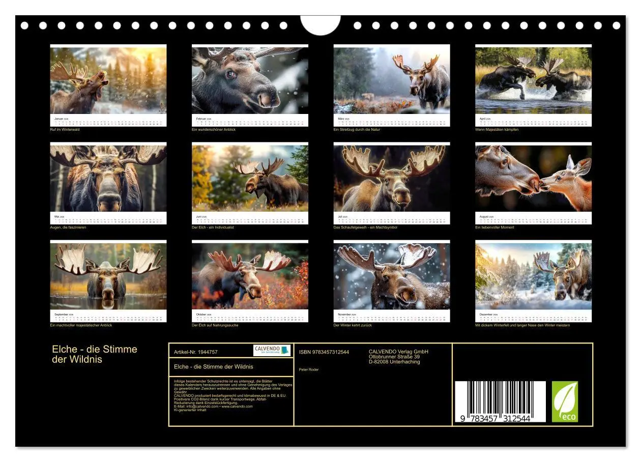 Bild: 9783457312544 | Elche - die Stimme der Wildnis (Wandkalender 2026 DIN A4 quer),...