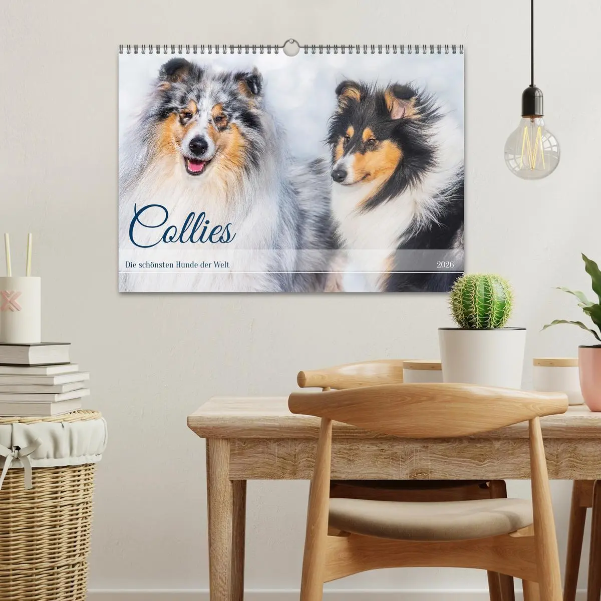 Bild: 9783457482544 | Collies - die schönsten Hunde der Welt (Wandkalender 2026 DIN A3...