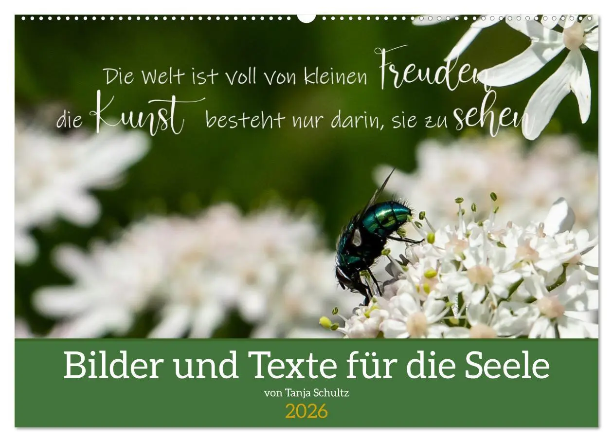 Cover: 9783457622544 | Bilder und Texte für die Seele (Wandkalender 2026 DIN A2 quer),...