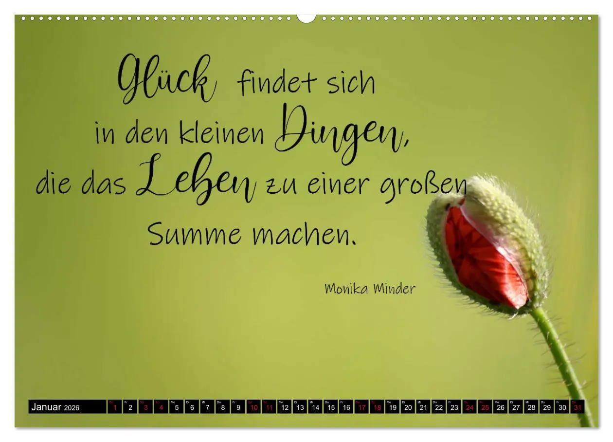 Bild: 9783457622544 | Bilder und Texte für die Seele (Wandkalender 2026 DIN A2 quer),...