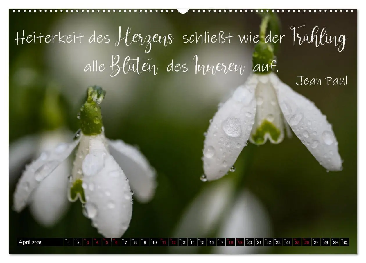 Bild: 9783457622544 | Bilder und Texte für die Seele (Wandkalender 2026 DIN A2 quer),...