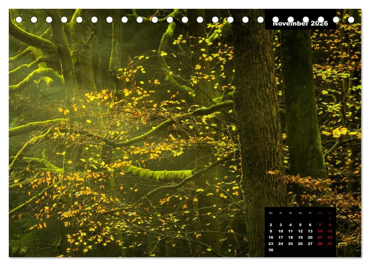 Bild: 9783457932544 | Malerisches Sauerland (Tischkalender 2026 DIN A5 quer), CALVENDO...