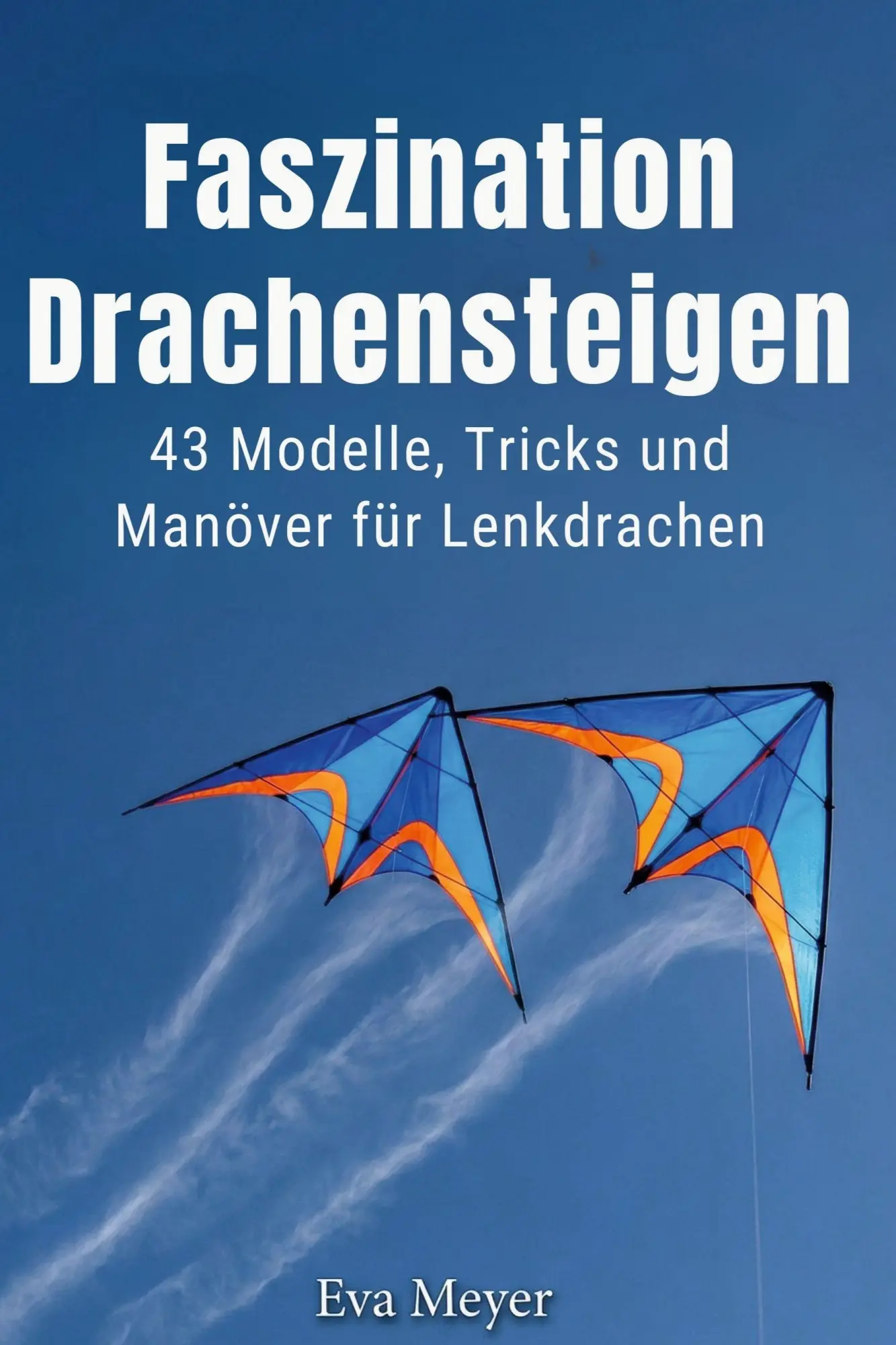 Cover: 9783695392544 | Faszination Drachensteigen | Eva Meyer | Taschenbuch | 82 S. | Deutsch