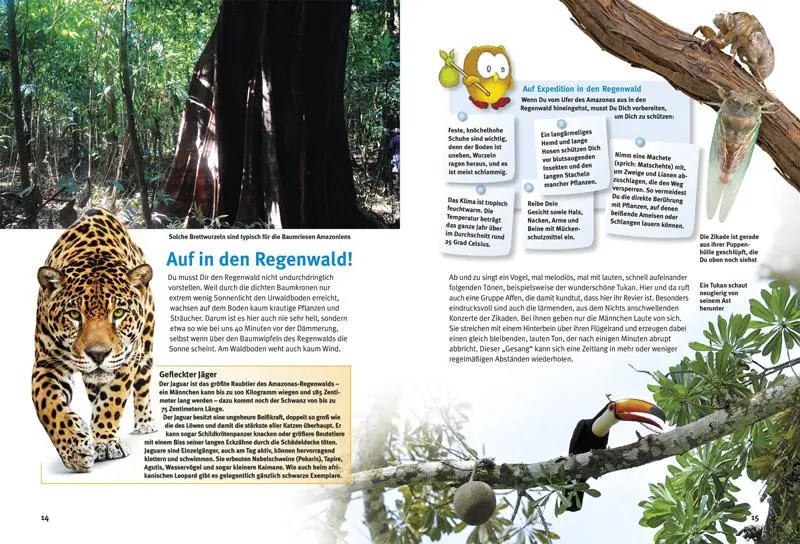 Bild: 9783866592544 | Entdecke den Amazonas-Regenwald | Lothar Staeck | Taschenbuch | 64 S.