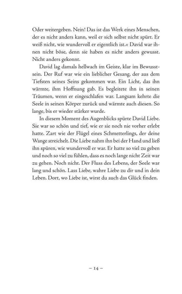 Bild: 9783906872544 | Der leise Ruf des Schmetterlings | Hardy, jr. Krüger | Buch | 281 S.