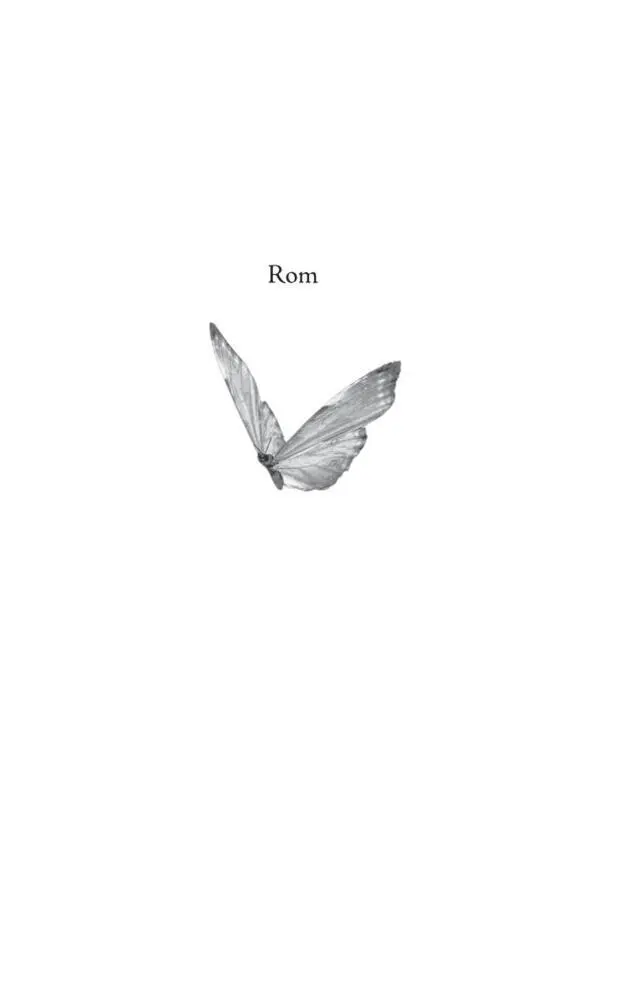 Bild: 9783906872544 | Der leise Ruf des Schmetterlings | Hardy, jr. Krüger | Buch | 281 S.