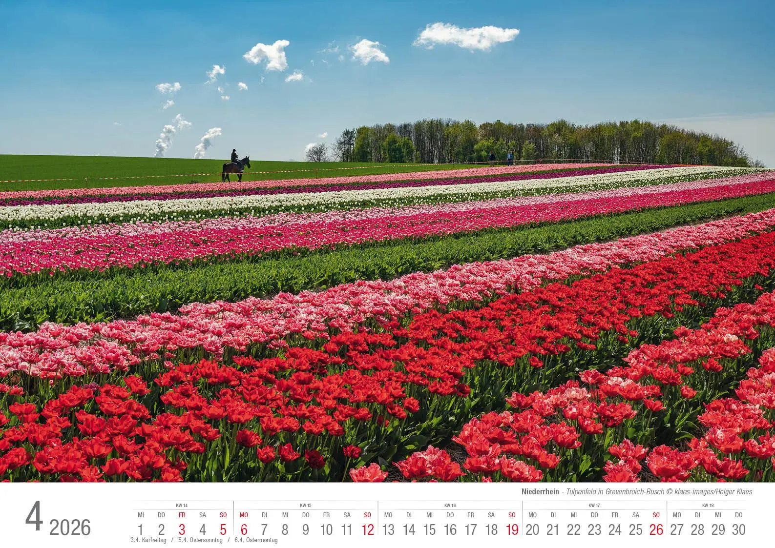 Bild: 9783965352544 | Niederrhein 2026 Bildkalender A3 Spiralbindung | Holger Klaes | 2026