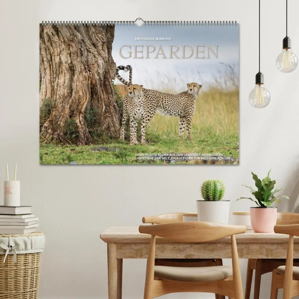 Bild: 9783435832644 | Emotionale Momente: Geparden (Wandkalender 2025 DIN A2 quer),...
