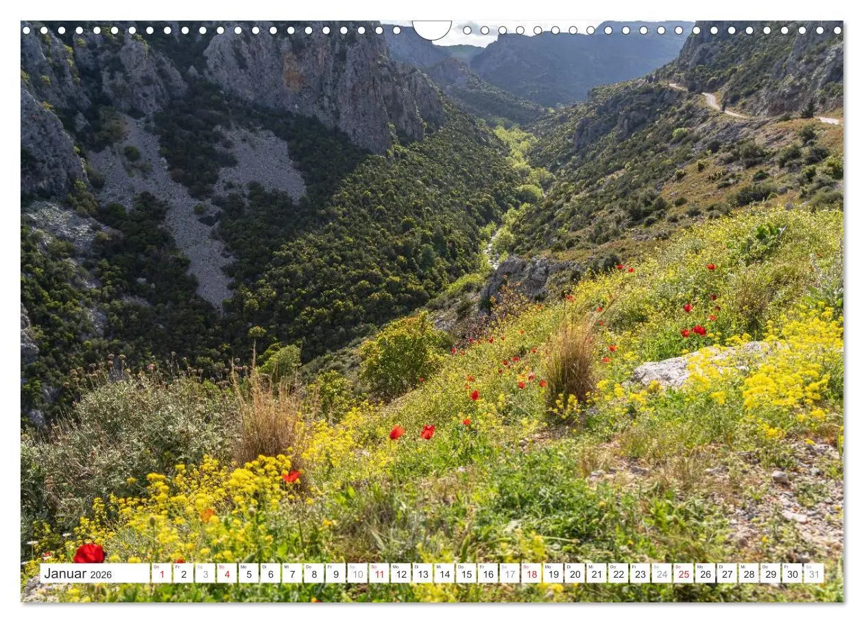 Bild: 9783516252644 | Griechenland - Euböa - Evia (Wandkalender 2026 DIN A3 quer),...