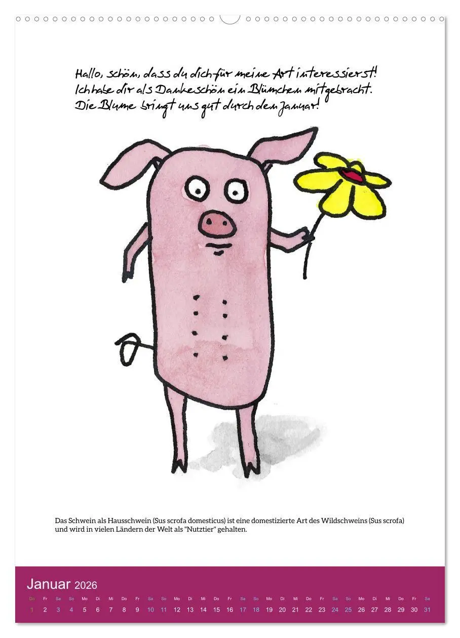 Bild: 9783516322644 | Schweinekalender - Alles was du über Schweine wissen wolltest!...